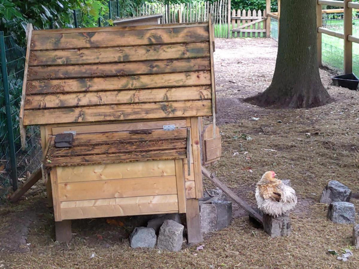 Hertsberge The Two Oaks - Private Garden For Guestsヴィラ エクステリア 写真