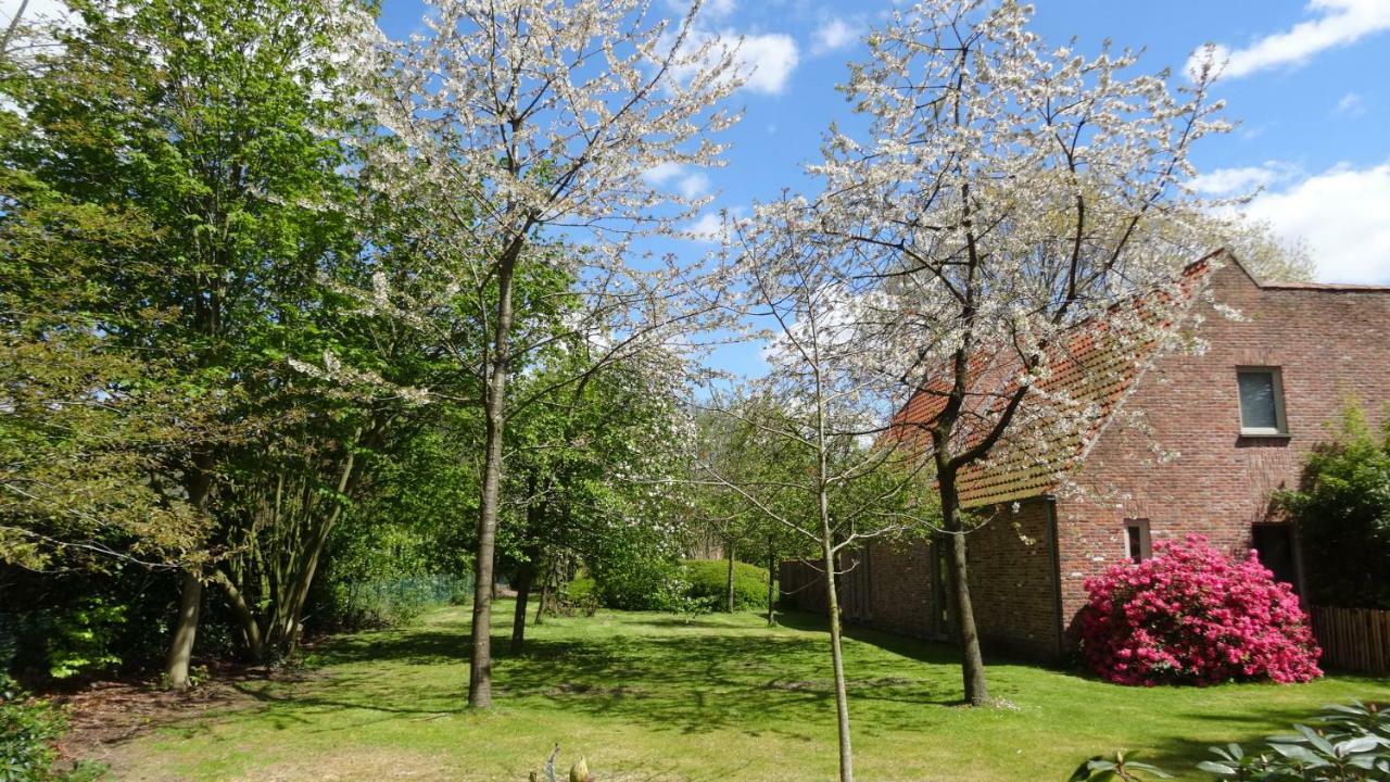 Hertsberge The Two Oaks - Private Garden For Guestsヴィラ エクステリア 写真