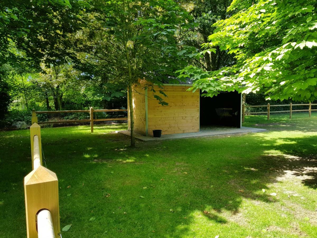Hertsberge The Two Oaks - Private Garden For Guestsヴィラ エクステリア 写真