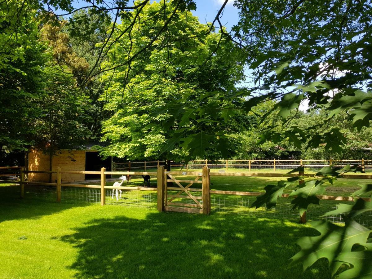 Hertsberge The Two Oaks - Private Garden For Guestsヴィラ エクステリア 写真