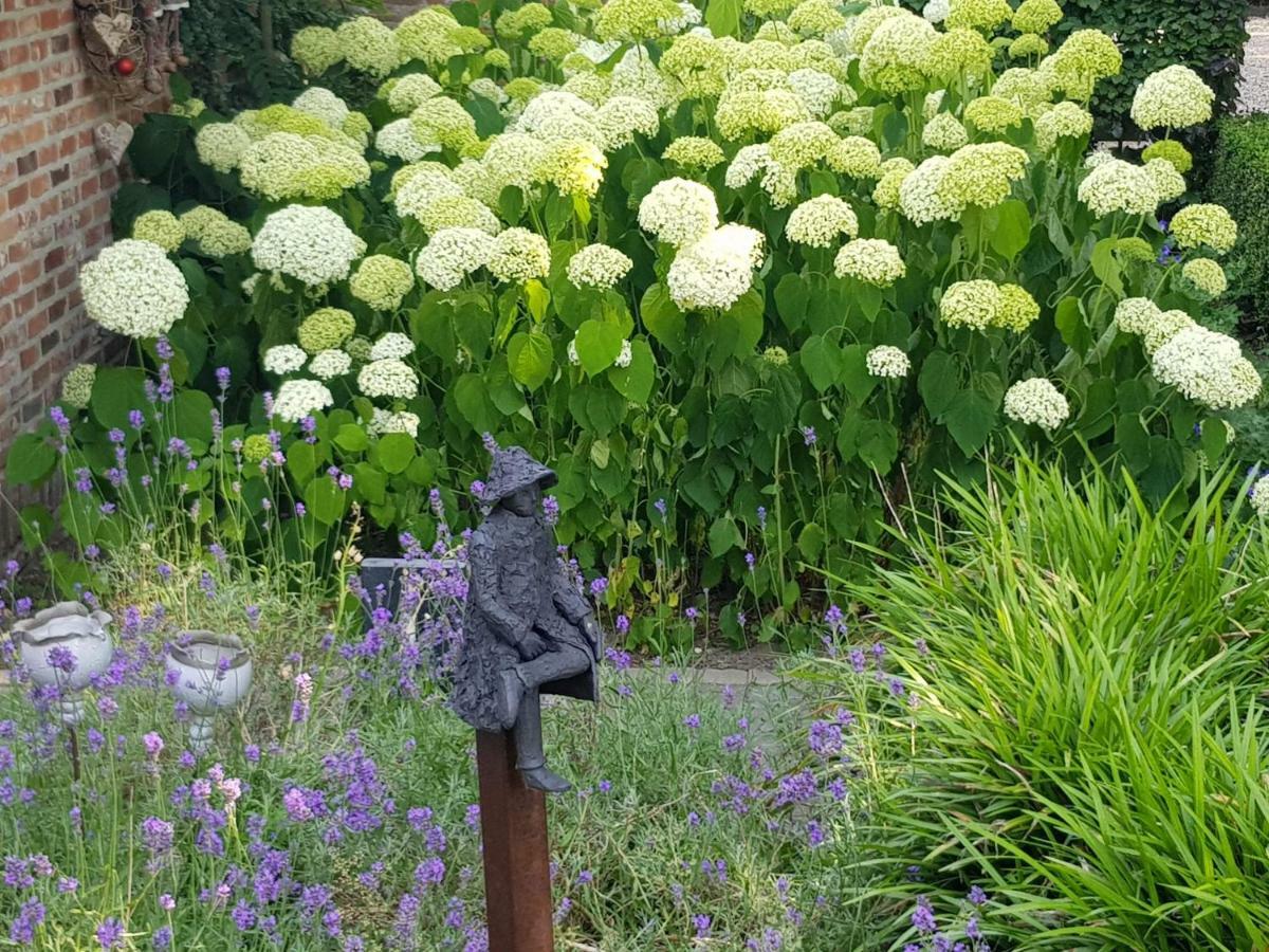 Hertsberge The Two Oaks - Private Garden For Guestsヴィラ エクステリア 写真